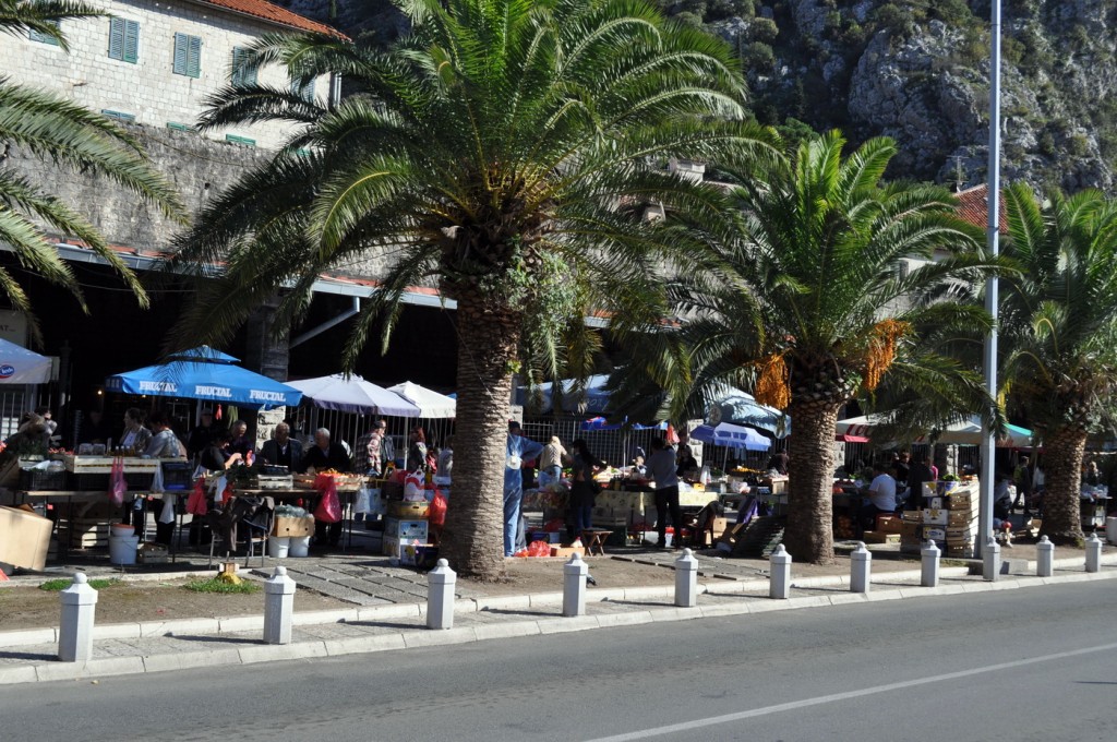 Kotorska pijaca - Boka News