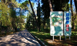 Gradski park Tivat