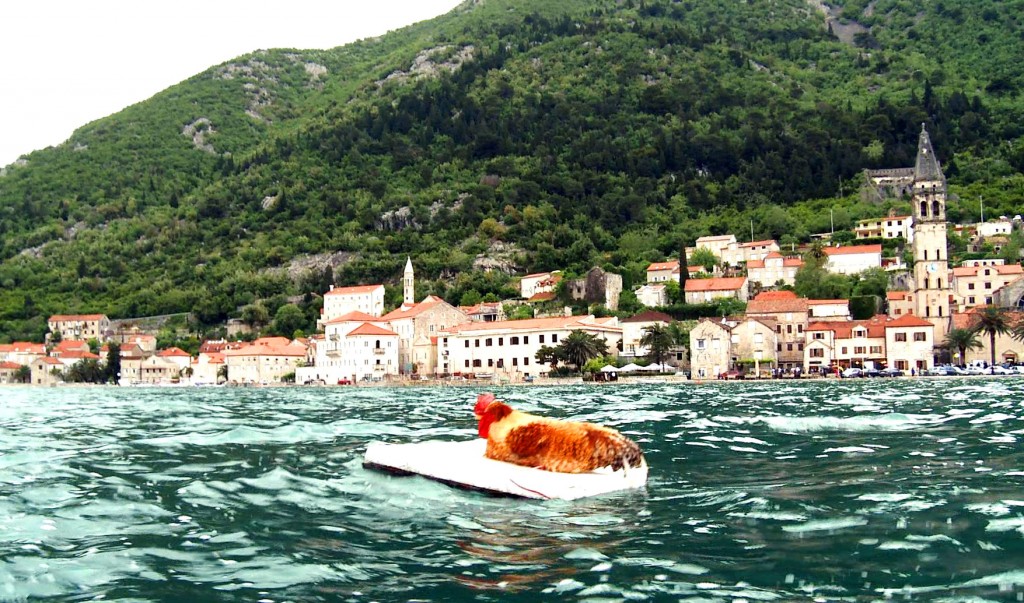 CZK Tivat