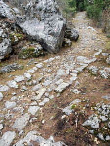 Pješački put Herceg Novi - Crkvice 1 Photo Ž. Starčević