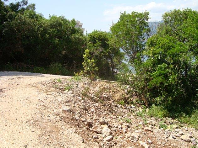 Prije uređenja