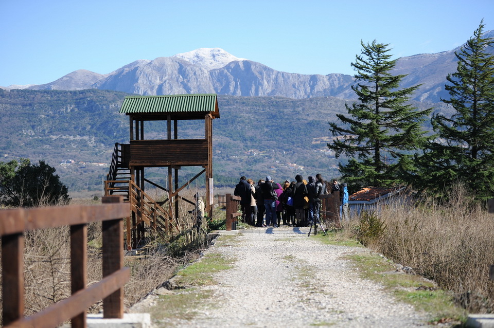 Solila osmatracnice