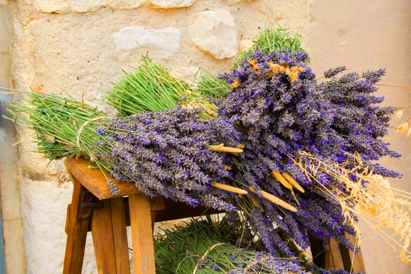 Lavanda