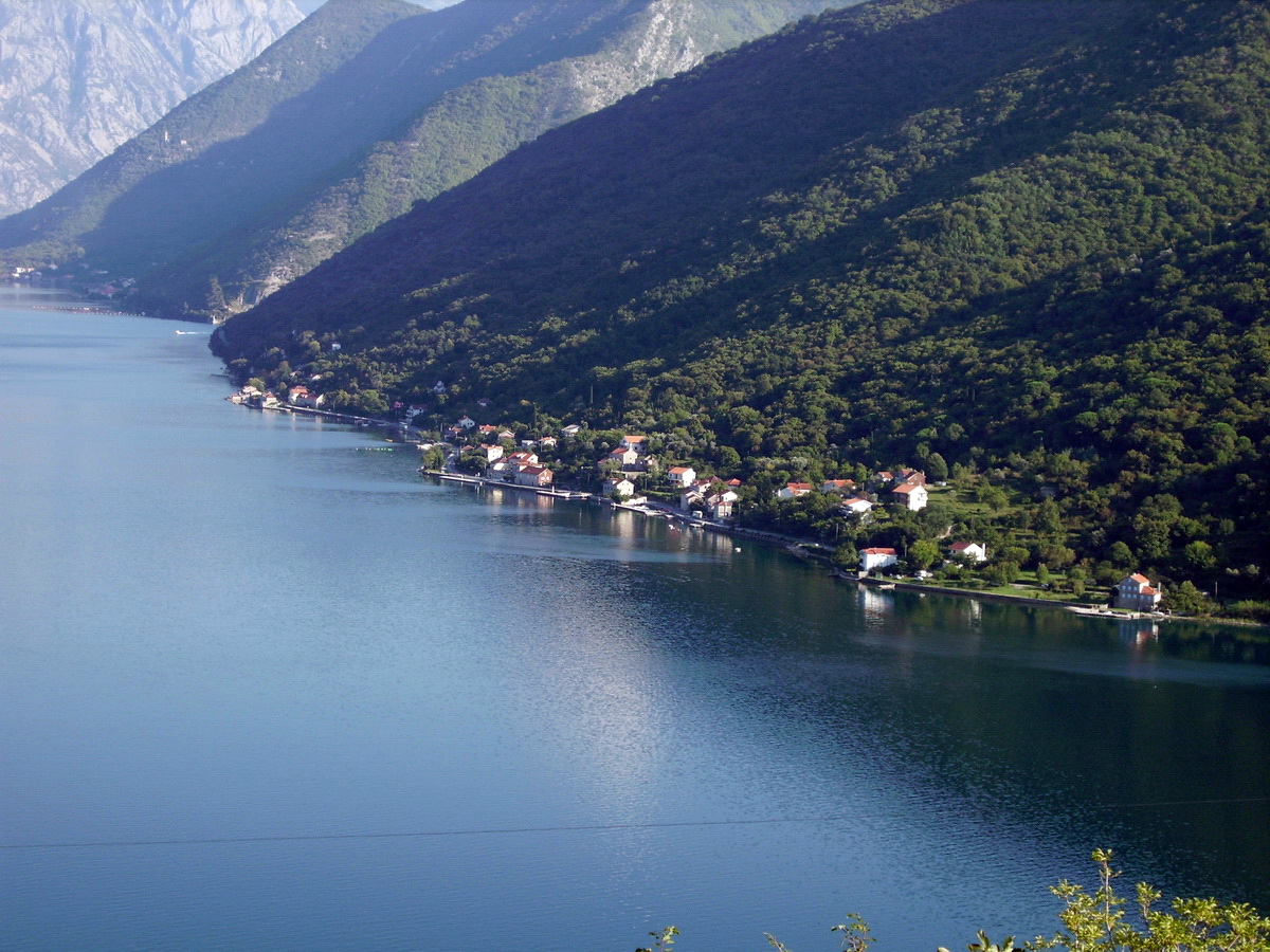 Kostanjica