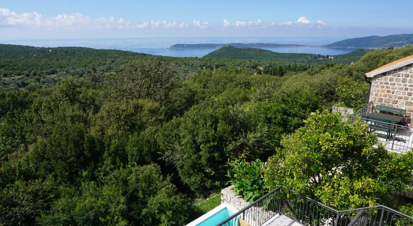 Luštica pogled