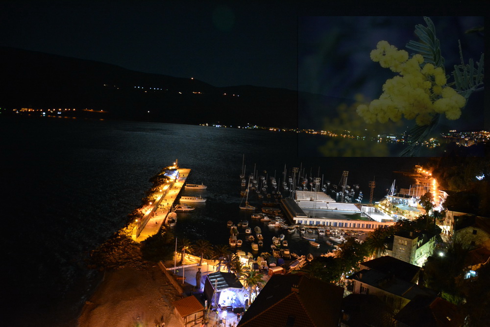 Herceg - Novi