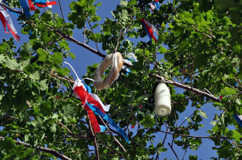 Mađ Perast - Boka News