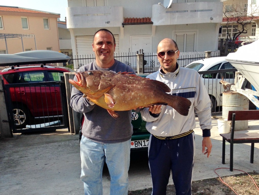 Prvo mjesto - Zoran Mihailović - kernja 15,5 kg