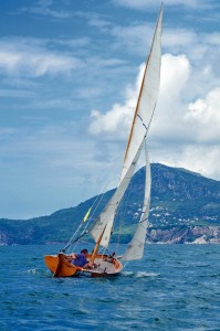 Latinsko jedro - Foto Zoran Nikolić