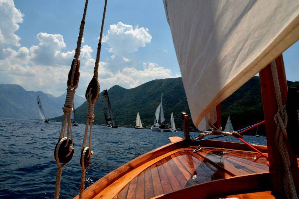 Latinsko jedro - Foto Zoran Nikolić