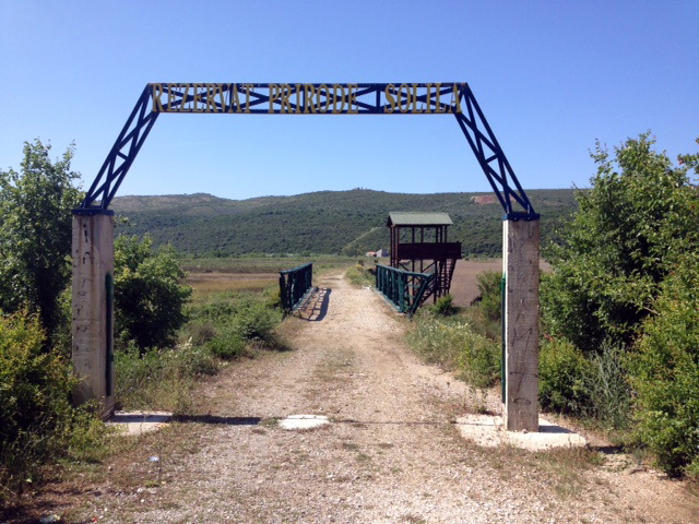 Solila