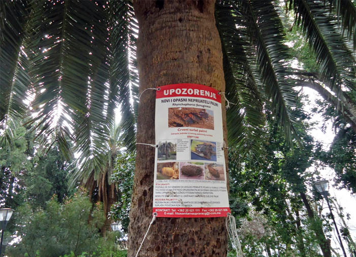 plakat