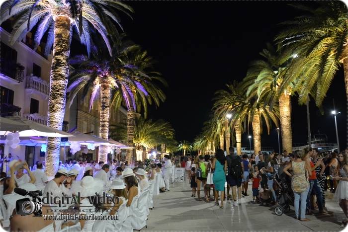 Veče u bijelom - Tivat
