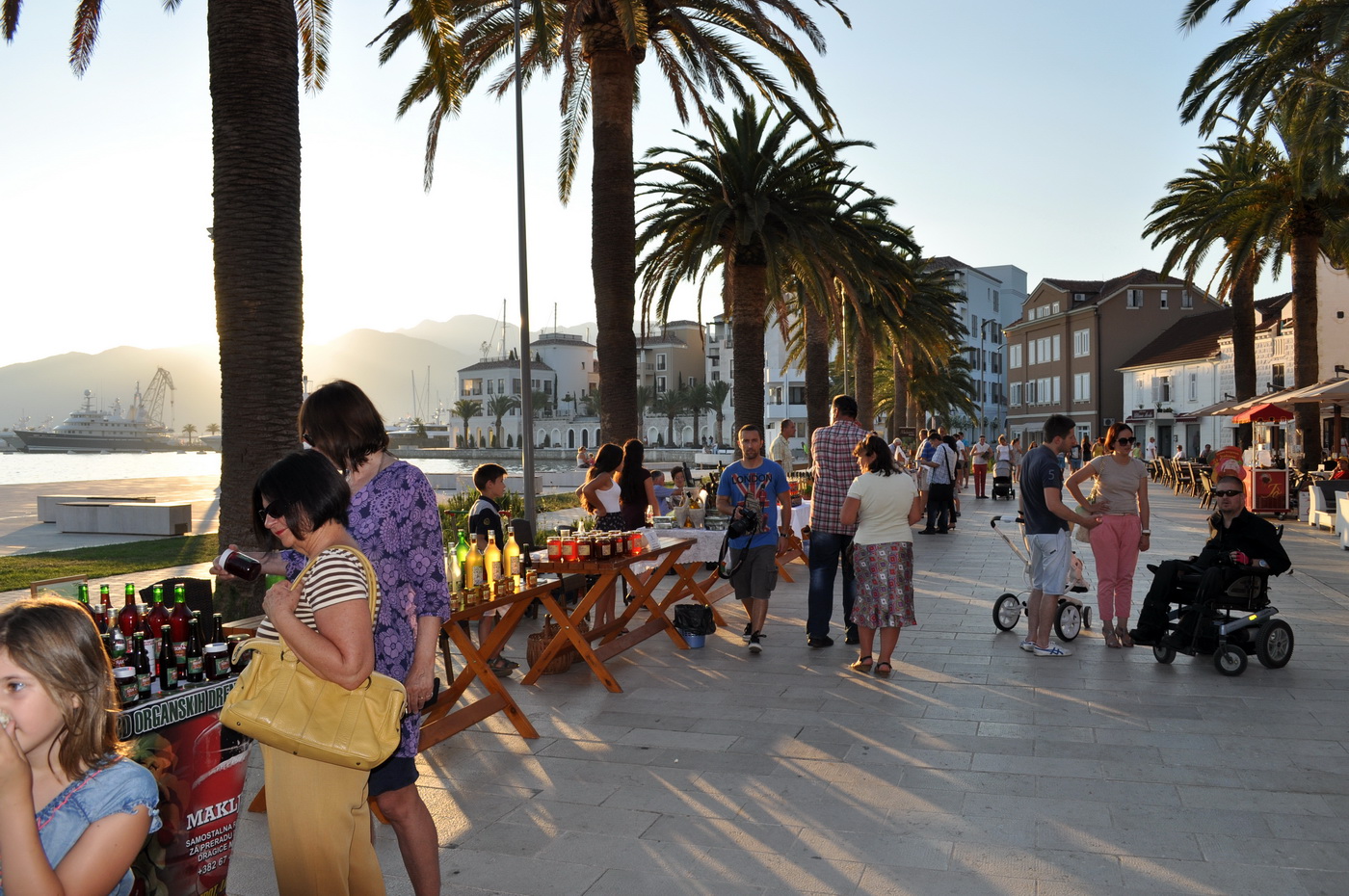 Bokeška maslina Tivat 2015.