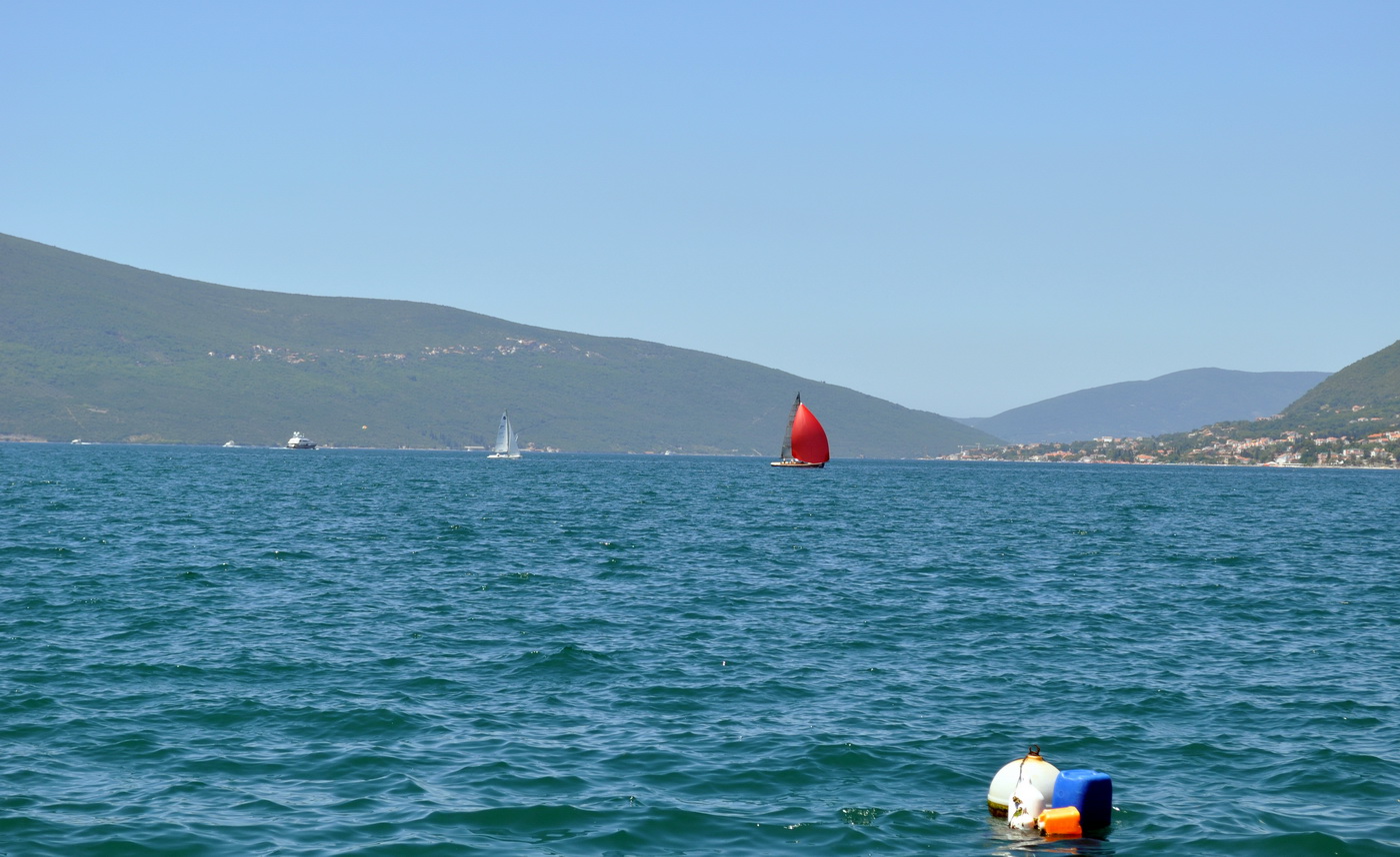 Regata Arsenal kup