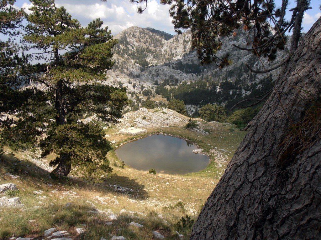 Povratak boće na Orjensko sedlo