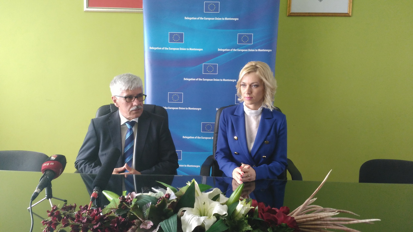 Delegacija EU