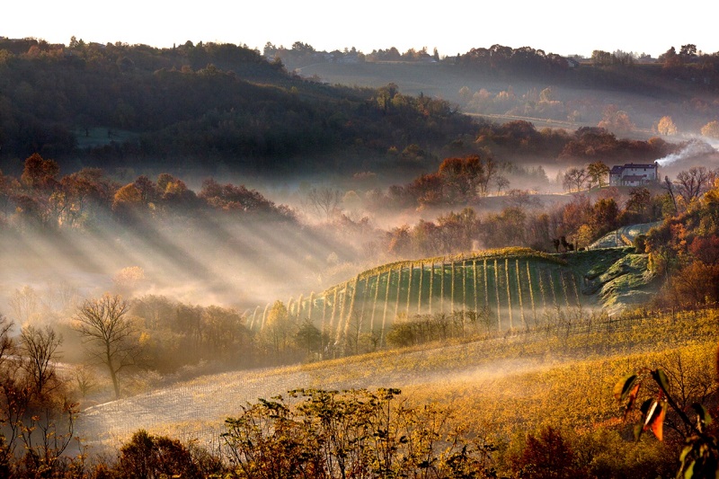 Balkan wine expo 2015.