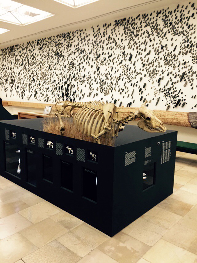 “Rat. Otkrivanje arheoloskih tragova”,