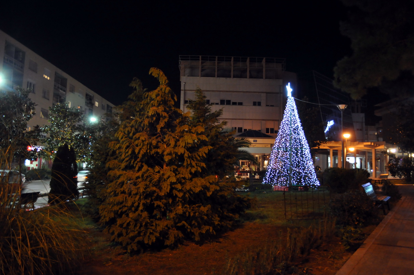 Tivat -Trg magnolije