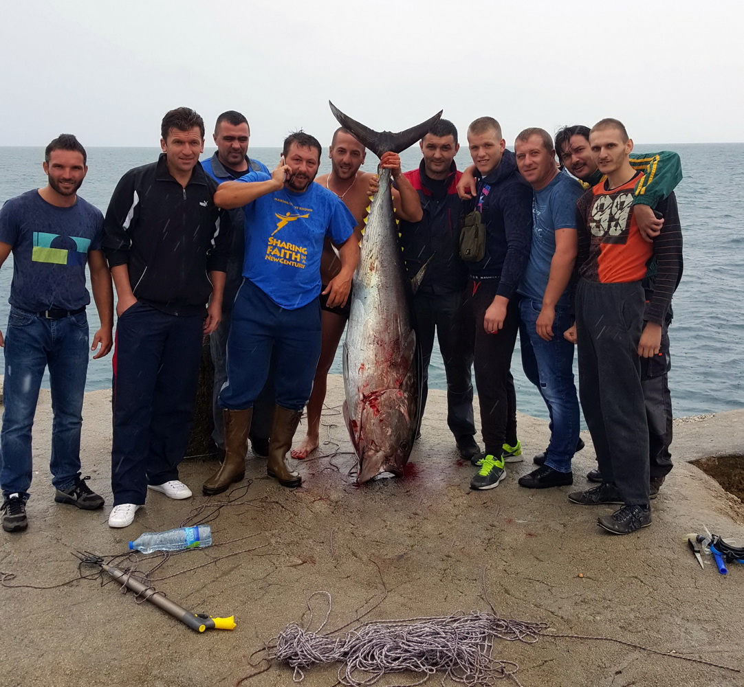 OKTOBAR - prvo mjesto - Adnan Sejdić - tuna 86kg za naslovnu