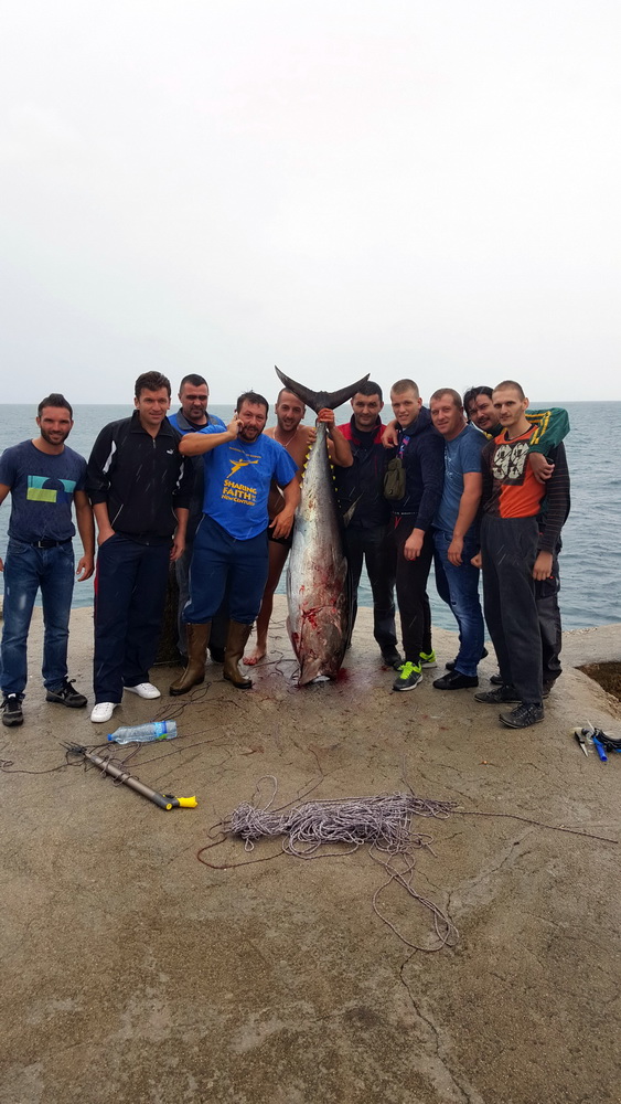 DRUGO MJESTO 2015 - Adnan Sejdić - tuna 86kg