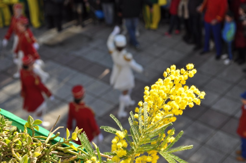 Fešta od mimoze, ribe i vina 2016.