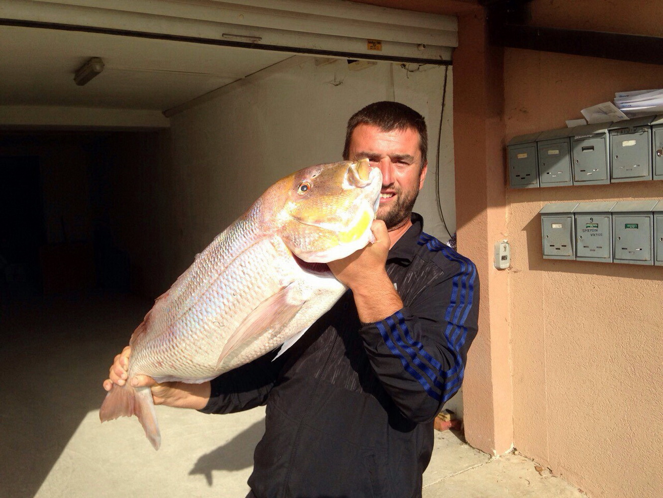 Januar treće mjesto - Ivan Kovačević - zubatac 8kg