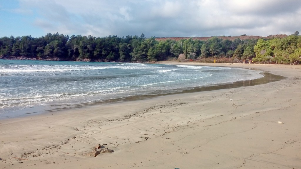 Plavi horizonti