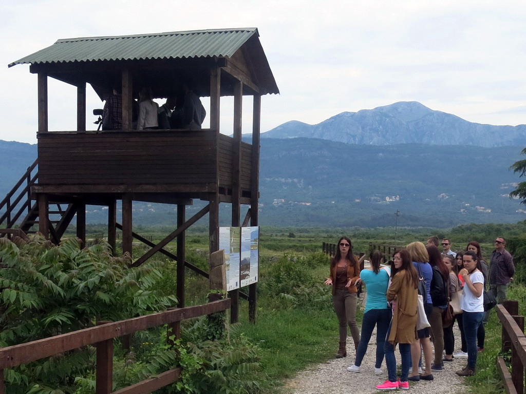 Posmatrali ptice u ornitološkom rezervatu