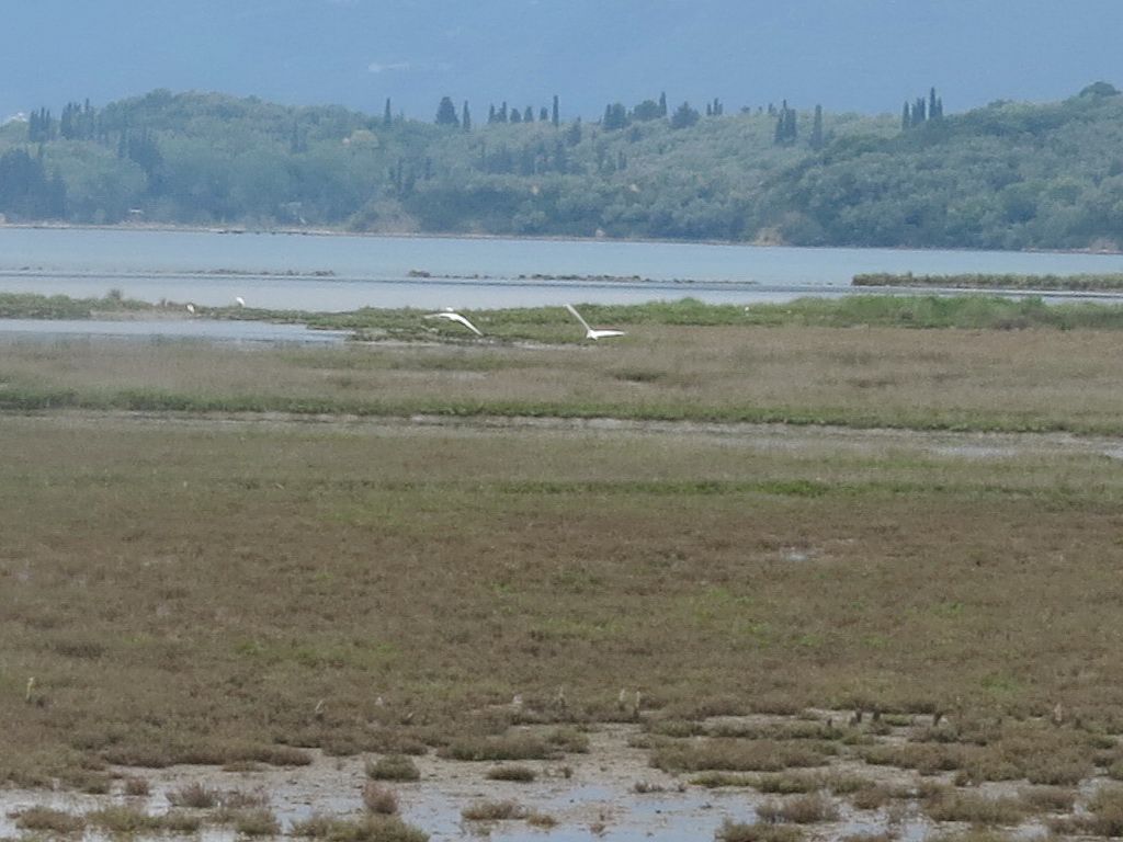 Posmatrali ptice u ornitološkom rezervatu
