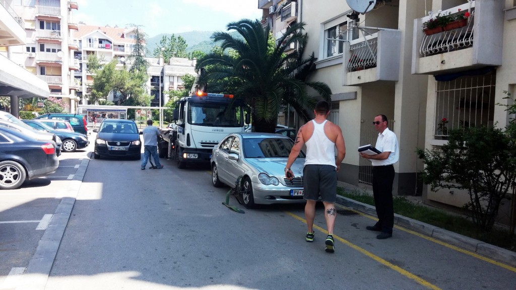 Komunalna policija i pauk opet u akciji -danas u Tivtu