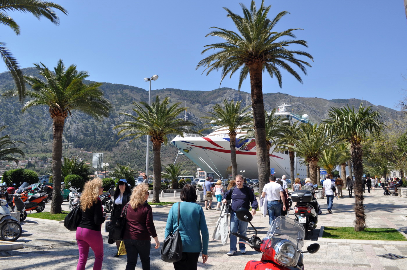 Kotor