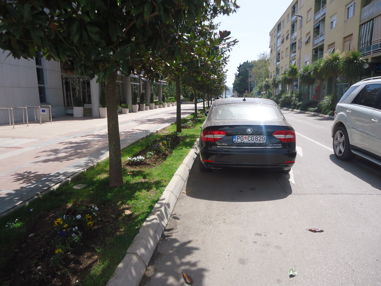 Način na koji se u Tivtu parkiraju drzavni sluzbenici