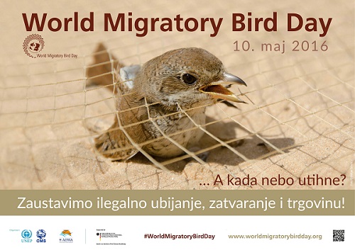 wmbd2016