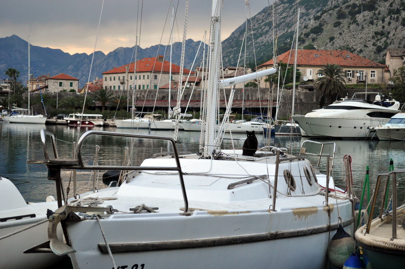 Kotor - foto Boka News