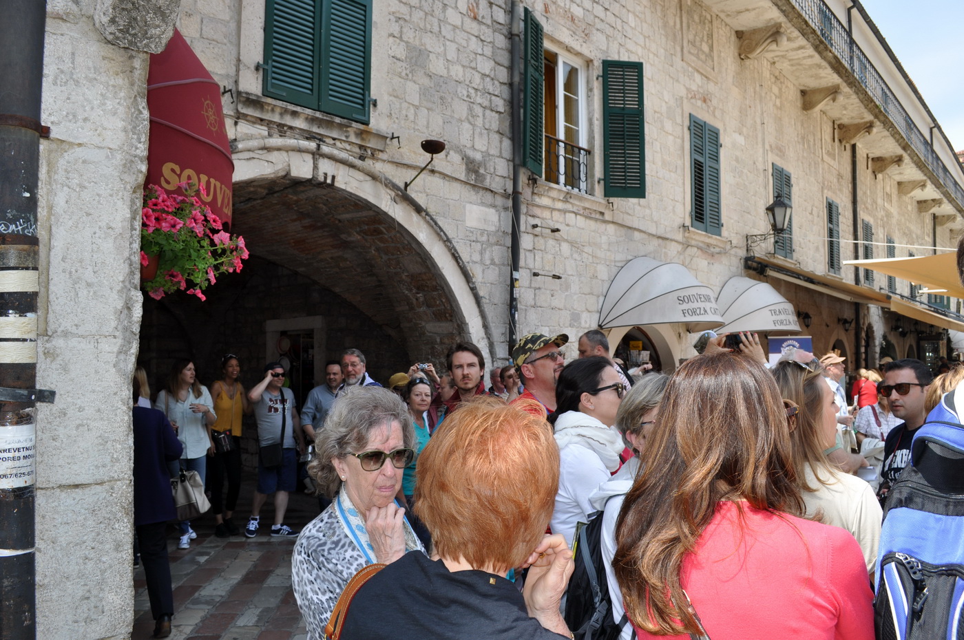 Kotor
