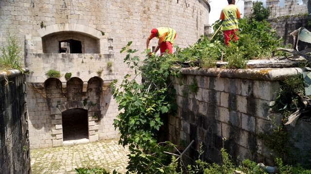 Mamula