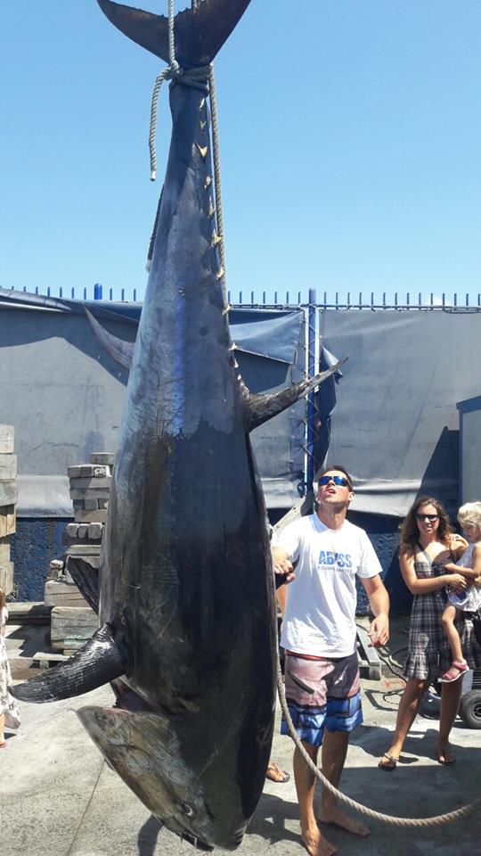 Tuna - foto Ozren Božić Facebook