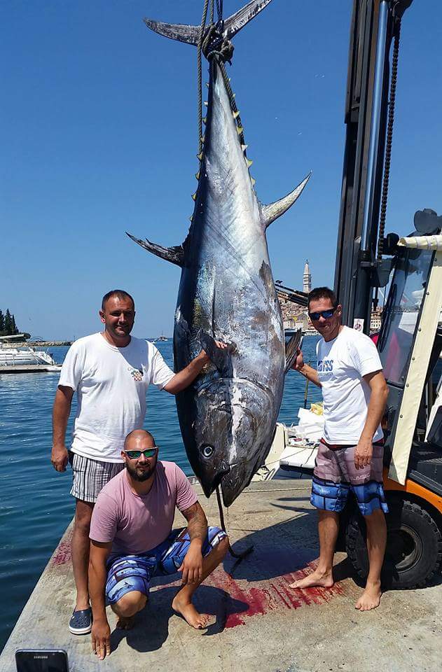 Tuna - foto Ozren Božić Facebook