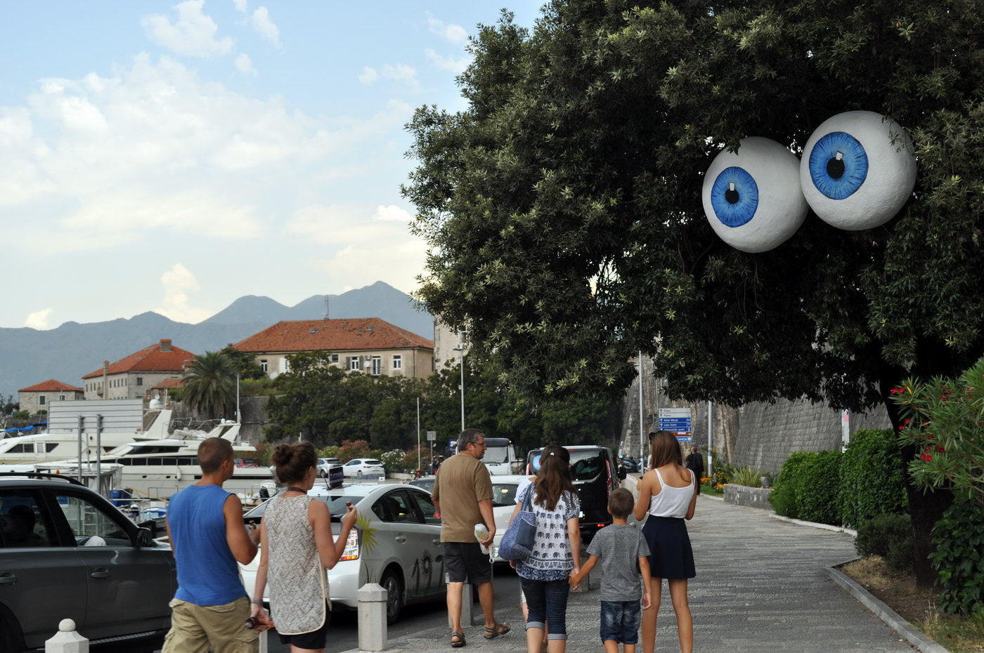 Kotor