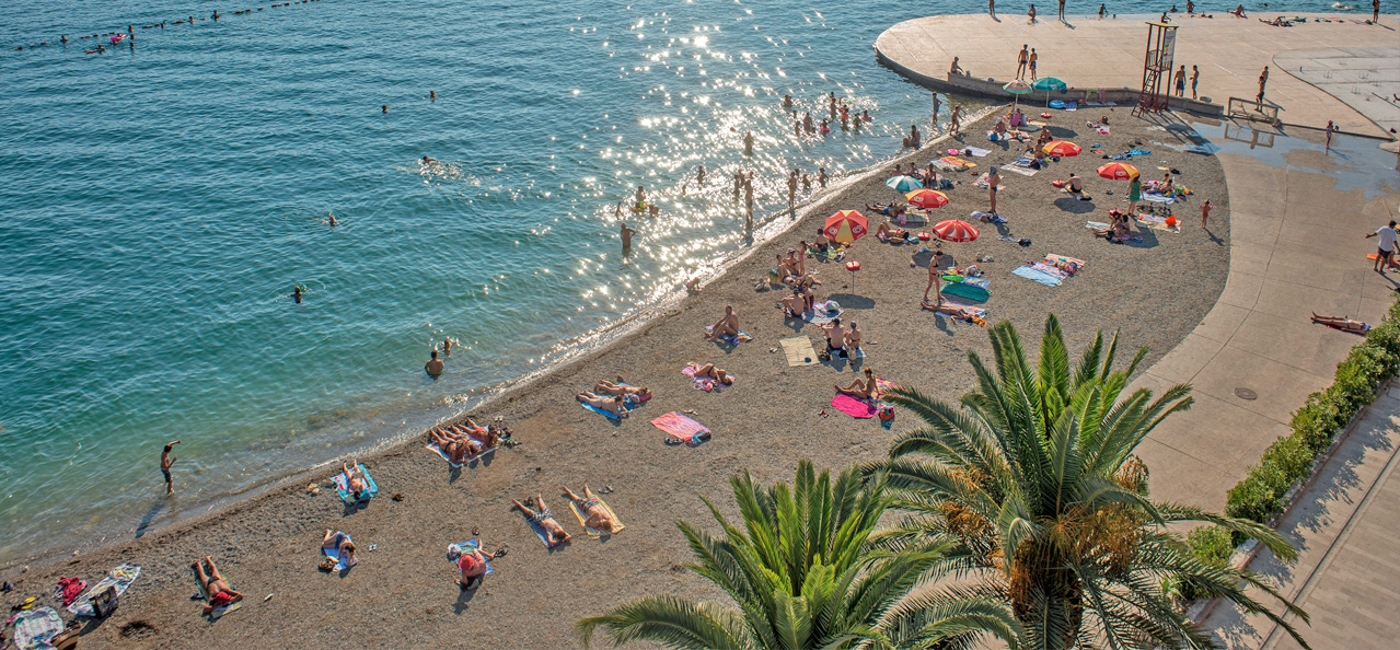 tivat vijesti