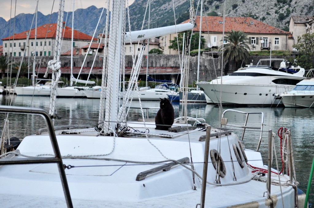 Kotor-foto Miro Marušić