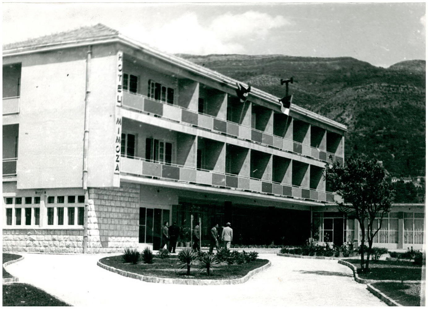 Stara Mimoza