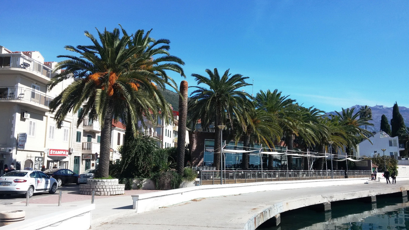 Tivat