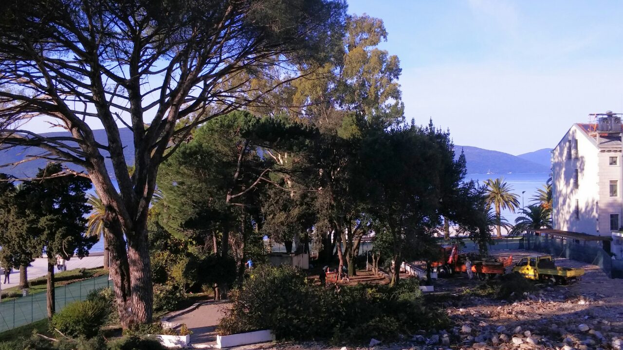 Mimozin park - sječa