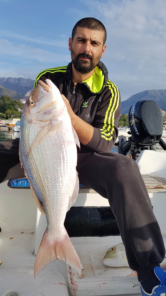 Novembar drugo mjesto-zubatac 8,1-kg Nikola Marović