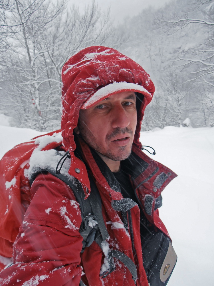 Željko Starčević
