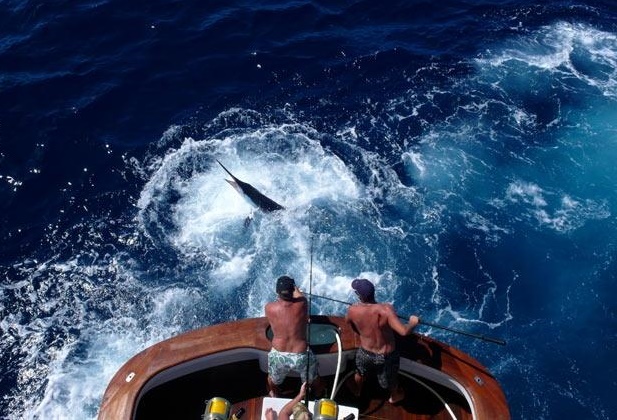 big, game, fishing, tuna, swordfish, zadar, croatia, www.zadarvillas.com